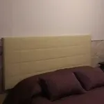 Bed & Tower بيزا